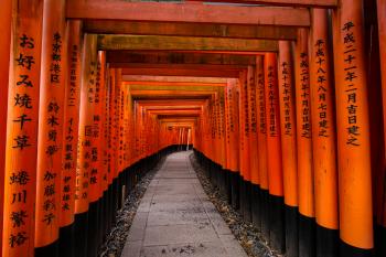 Torii-lined walkway at the Fushimi Inari Shrine.