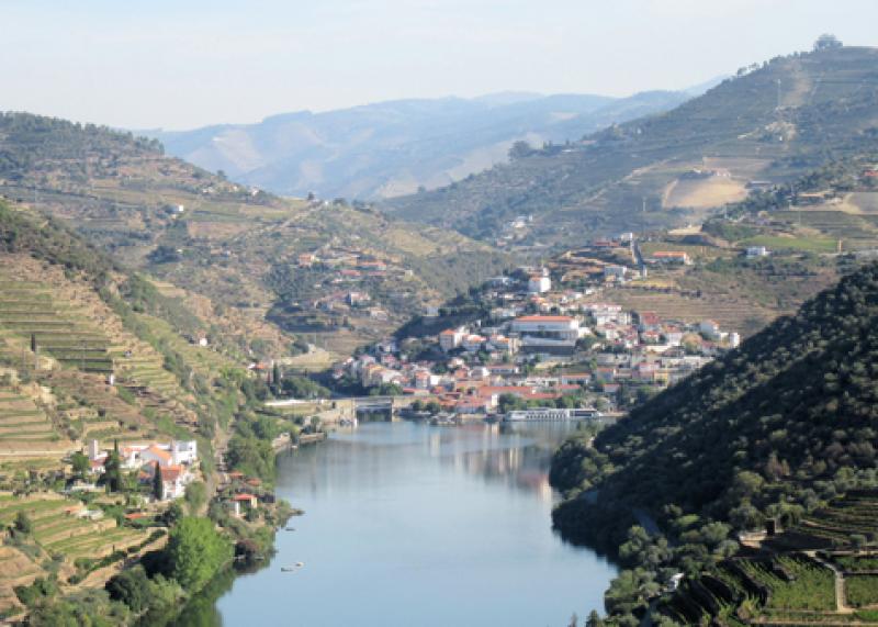 Quinta do Seixo vineyards and the town of Pinhão (and our docked ship, Queen Isabel, at back right). Photo by Stephen Addison