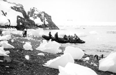 Zodiac landing at Half Moon Island.