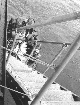 The gangway connecting the ship and the Zodiac was very long, very steep and very shaky.