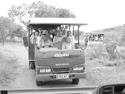 A game drive at Mokolodi Nature Preserve. This was the only place that had more than one vehicle or more than seven people in the same place at the same time.