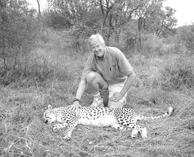 Author Rob Sangster at Mokolodi Nature Preserve, near Gaborone, Botswana. When animals are protected — worth more alive than dead — some, like this cheetah, lose their fear of respectful humans. Of course, it’s no accident that I’m on the side away from the claws!