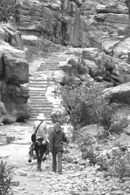 The beginning of the climb up to the Monastery, one of Petra’s most well-preserved ruins. The trek takes about 45 minutes. Donkey transport is available for those who wish to ride.