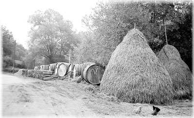 Wine barrels and haystacks at a country village.