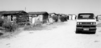 “Townships” near cities in South Africa are home to the underemployed black population. These homes are near Stanford.