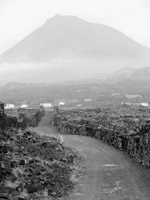 The volcano Pico looms above the island named after it.