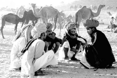 Pushkar camel traders (2004). Photo: Holt