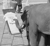 Elephant artist painting a T-shirt. 