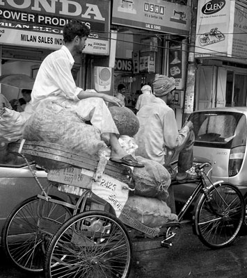 Old Delhi’s narrow streets favor practical transport options.