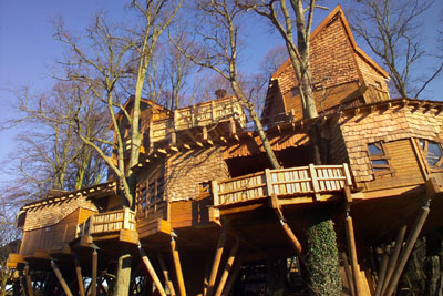 The 6,000-square-foot Treehouse looms at one end of the Poison Garden.