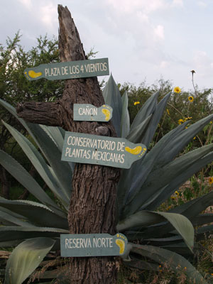 Directional sign points the way in El Charco del Ingenio’s network of pathways. Photos: Horn