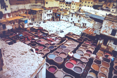 Chouara Tannery in Fes, Morocco
