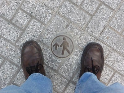 These circles in the pavement tell you which way to walk through the palm groves of Elche.