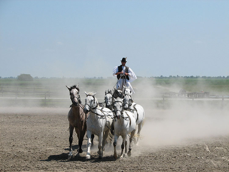 Hungarian cowboys at a horse show
