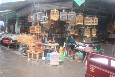 This man was selling birds (probably canaries), cages, food and other items at a market in Guiyang. Photo: Joyce Bruck