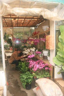Colorful stall in the flower market of Guiyang. Photo: Joyce Bruck