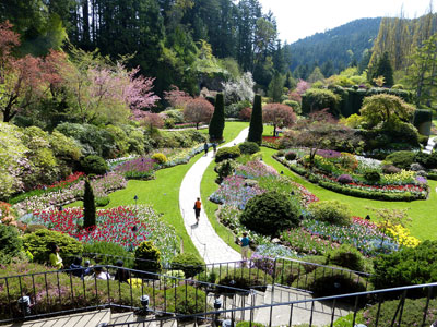 The centerpiece of The Butchart Gardens is the Sunken Garden — Vancouver Island. Photos by Yvonne Michie Horn