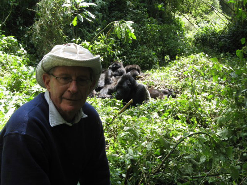 A rewarding trek to see Rwanda’s mountain gorillas | International ...