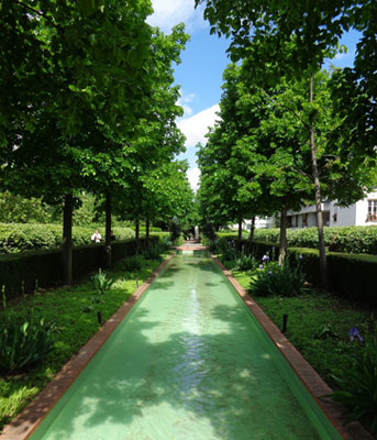 On this part of La Promenade Plantée, walkways run beside hedges and trees, with a path-like, shallow-water feature in between.