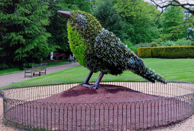 A topiary bird, covered with flowers, near the aviary at Waddesdon Manor, which was built in England by the Rothschild family. Photo by Helen Harper