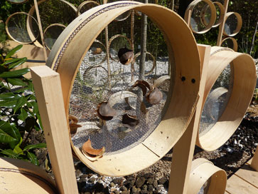 Botanical sieves provided the design element for the Seed Collector’s garden. Photo: Yvonne Horn