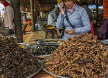 An insect vendor in Skun (Skuon), Cambodia