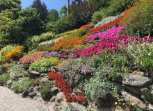 Gardens of Villa Carlotta — Lake Como, Italy. Photos by Liz Fischer