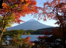 Mount Fuji with Lake Kawaguchi seen through momiji (colorful maple leaves) at the Momiji Tunnel — Lake Kawaguchi. 