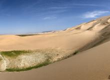 The Khongor sand dunes in the northern Gobi Desert.