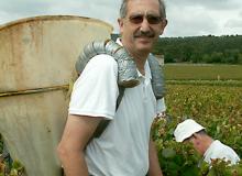 David wearing the grape-harvesting basket. Photos by Joanna Schwarcz