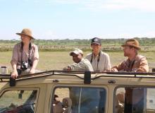In search of lions in a Land Cruiser.