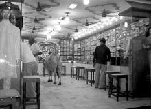 In Varanasi, seeing is believing, including a bull in a fabric shop.