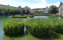 View of the pond in the Wallenstein Gardens — Prague. Photos by Yvonne Michie Horn