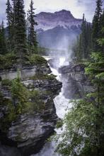 Athabasca Falls in Jasper National Park, Alberta, Canada. Photo courtesy of Intrepid Travel