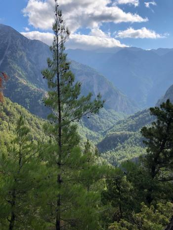 Gorge of Samaria National Park. Photo by Colleen McClure