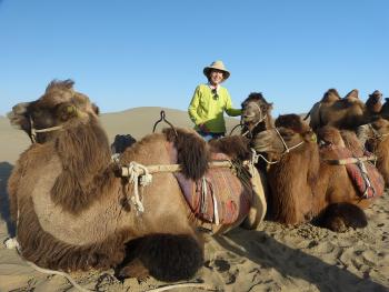 Yvonne Horn meets her Bactrian camel for an overnight trek into the Taklamakan Desert.