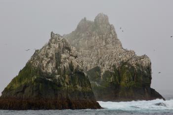 Shag Rocks, home to South Georgia shags, petrals and wandering albatrosses, among other birds. 