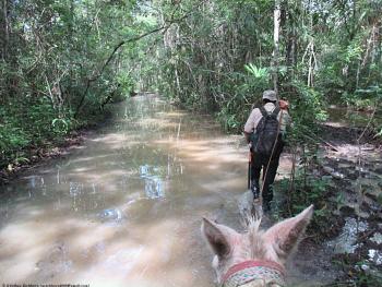 Trekking through a flooded forest on the way to El Mirador — Guatemala.