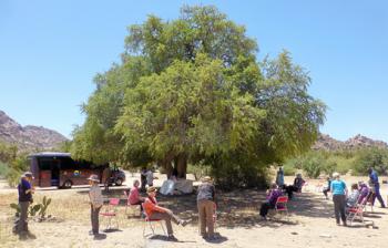 Our group enjoyed a picnic under an argan tree in Tafraout, Morocco. Photo by Randy Keck