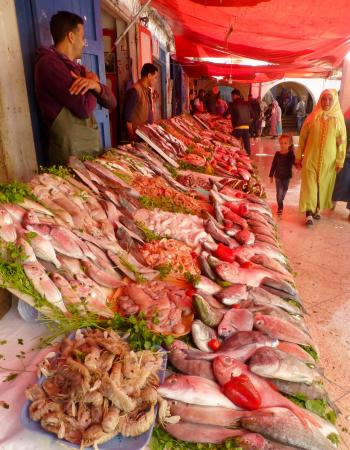Fish for sale in a souk in Essaouira, Morocco. Photo by Randy Keck