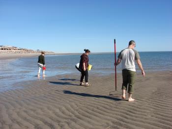 Clamming in front of the vacation cottage — San Felipe, Baja California, Mexico.