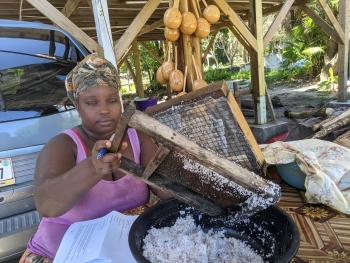 Kimberley grating the coconut meat before squeezing out the milk through a sieve.